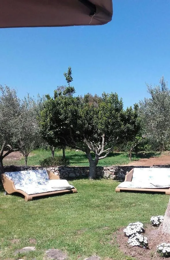 B & B Gli Oleandri San Pantaleo 0*,