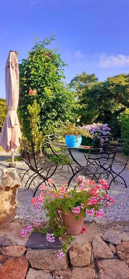 Couette-café B & B Gli Oleandri San Pantaleo Italie